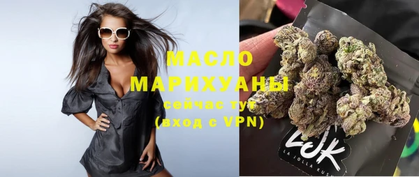индика Вязьма