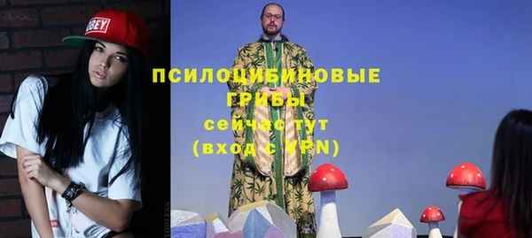 индика Вязьма