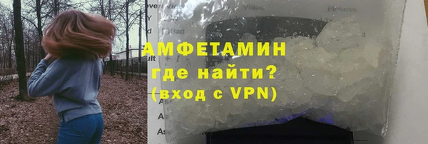 индика Вязьма