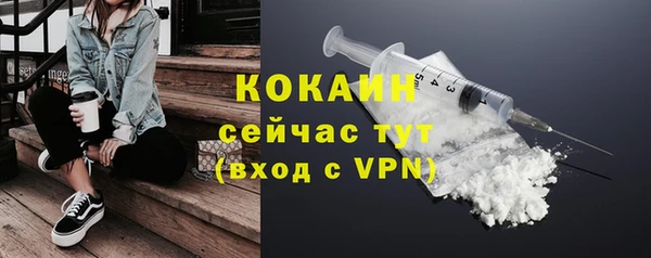 индика Вязьма