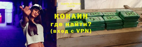 индика Вязьма