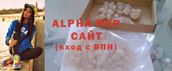 амф Горняк