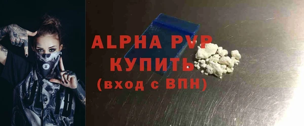 амф Горняк