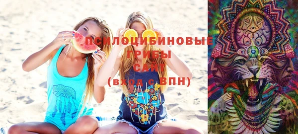 амф Горняк