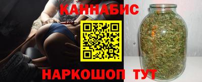 индика Абакан