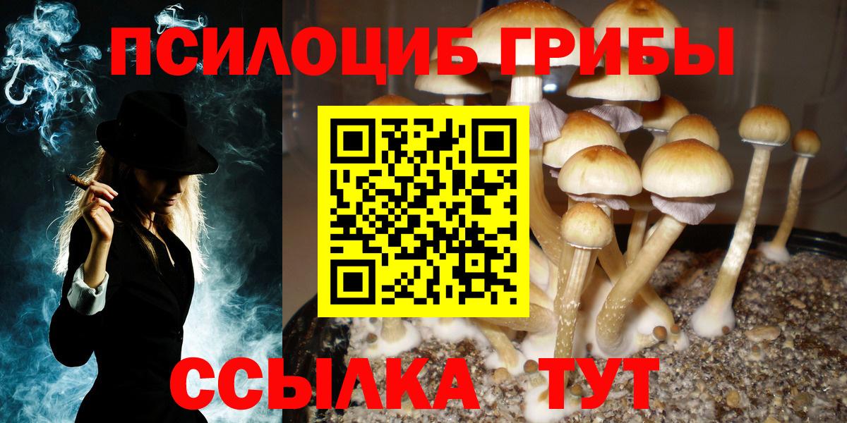 Ногинск  закладки  Вход с VPN  Галлюциногенные грибы GOLDEN TEACHER 
