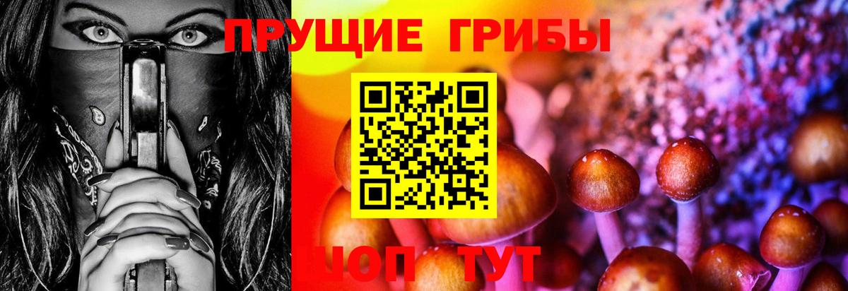 Псилоцибиновые грибы ЛСД Ногинск