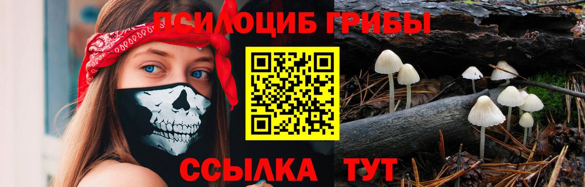 Псилоцибиновые грибы GOLDEN TEACHER  Вход с VPN  Ногинск  Псилоцибиновые грибы мицелий 