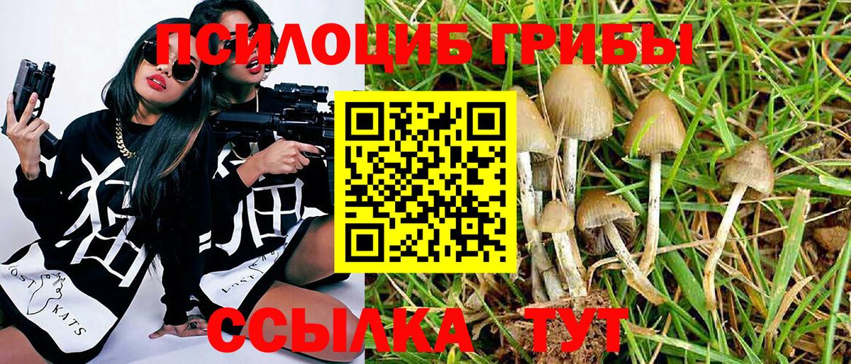 Галлюциногенные грибы прущие грибы Ногинск